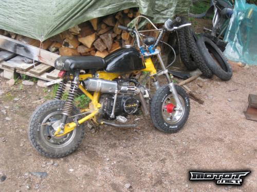 Jincheng Monkey 50
