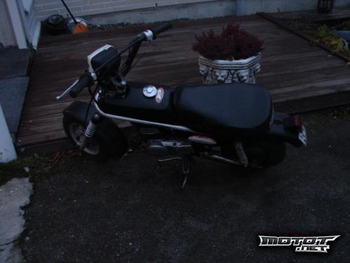 Suzuki PV 50