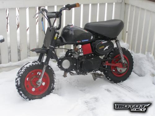 Honda Z50