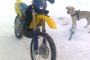 Husqvarna WR 250 2