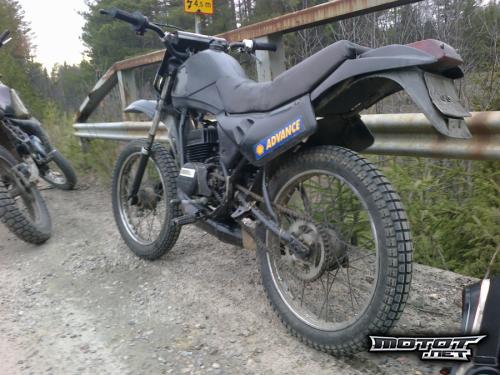 Suzuki S1 50