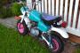 Honda Z50 2