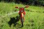 KTM SX 85 1