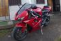 Triumph Daytona 675 2