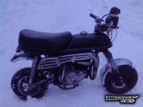 Suzuki PV 50