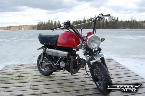 Skyteam Gorilla (50)