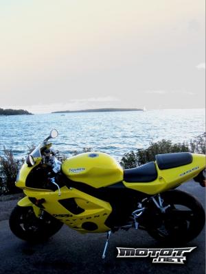 Triumph Daytona 955i