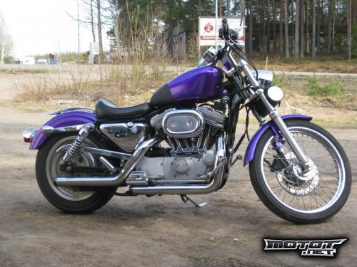 Harley Davidson Sportster 883 Custom