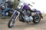 Harley Davidson Sportster 883 Custom 3