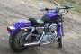Harley Davidson Sportster 883 Custom 2