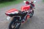 Derbi GPR 50 1