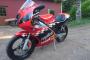 Derbi GPR 50 2