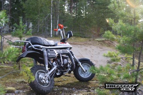 Suzuki PV 50