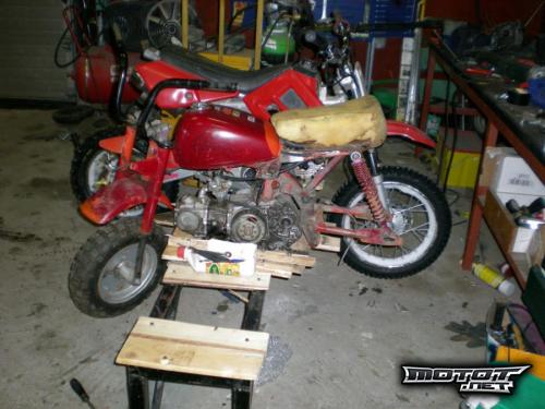 Honda Z50