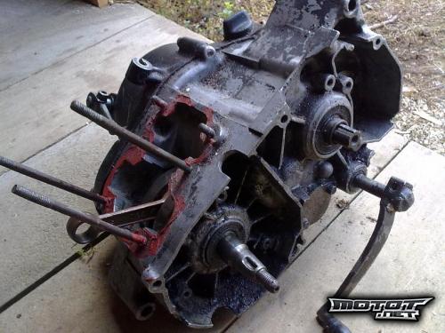 Suzuki PV 50