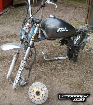 Jincheng Monkey 50