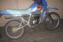 Suzuki  1