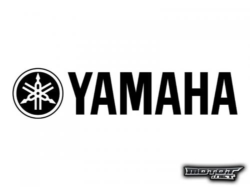 Yamaha DT 50 R