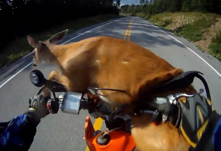 youtube_peurakolari_2012