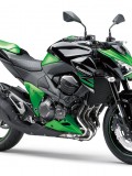 kawasaki_z800_2_2012