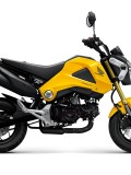 Honda_MSX_125_3_2013