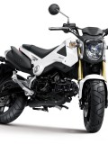 Honda_MSX_125_4_2013