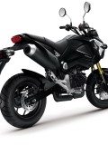 Honda_MSX_125_5_2013